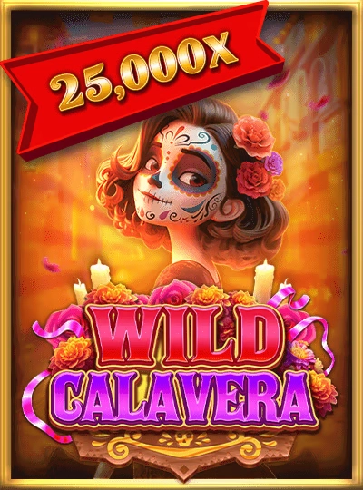 Dragon Tiger card game cover